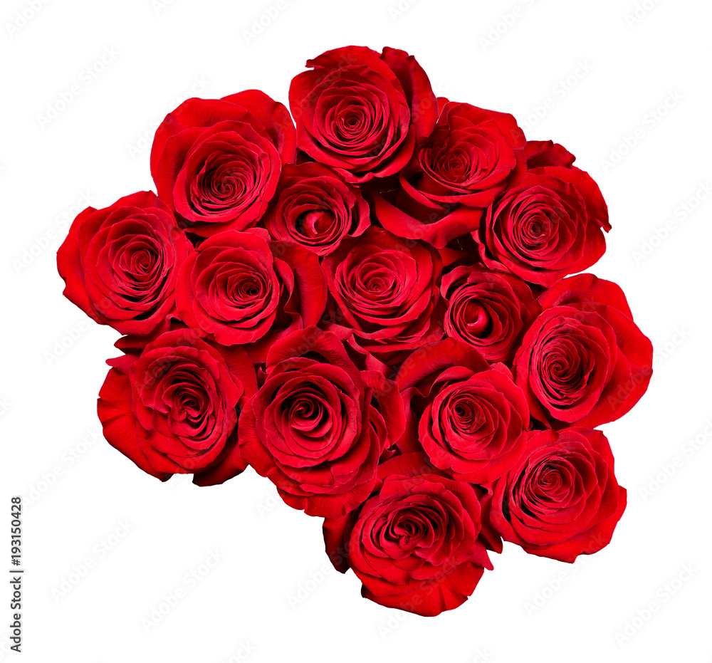 flower rose petal blosspm background flower rose petal blosspm background