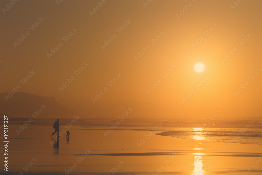 man playing the dog at the beach