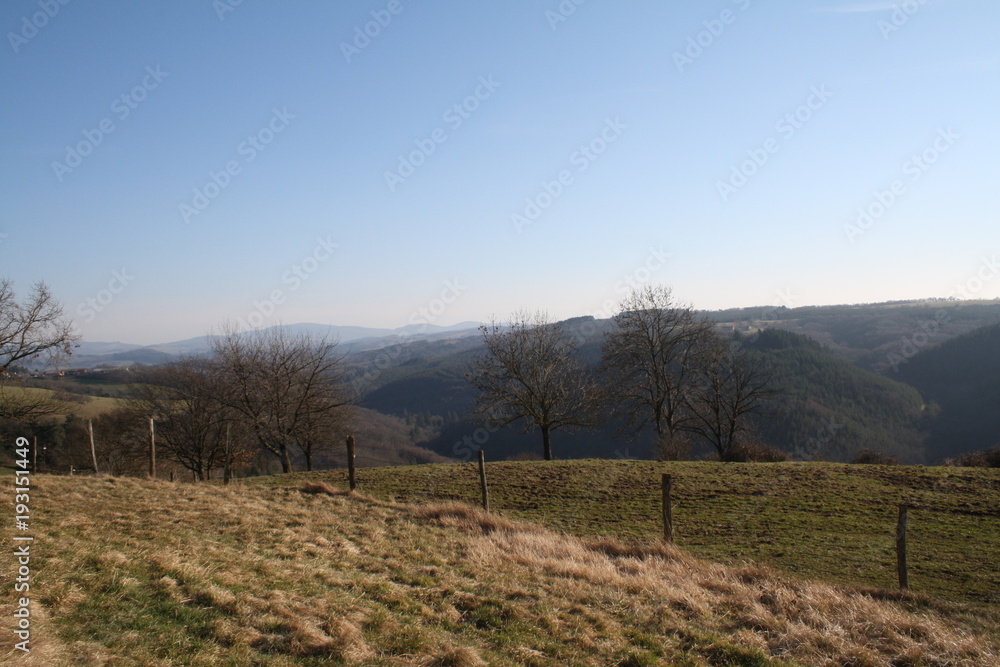 Obraz premium paysage d'automne