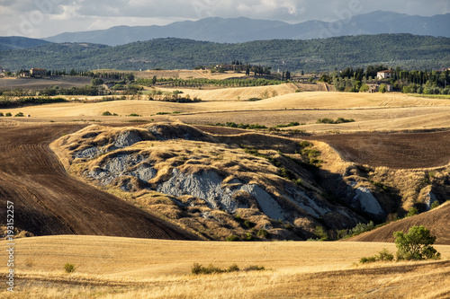 Summer landscape near Asciano photo