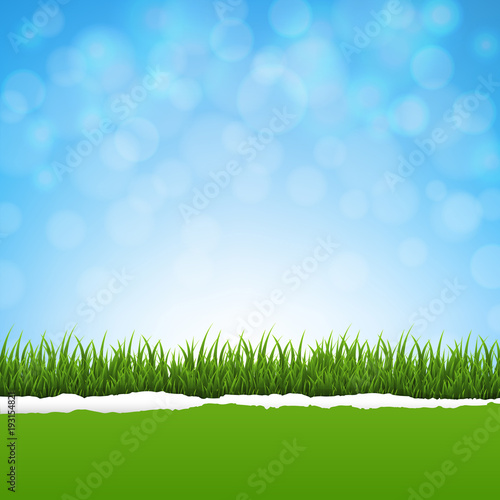 Green Grass And Ripped Paper Nature Background