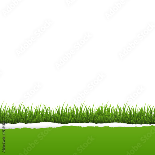 Green Grass And Ripped Paper