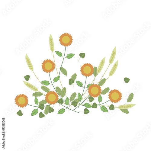 calm composition of yellow flowers, spikelets on white background