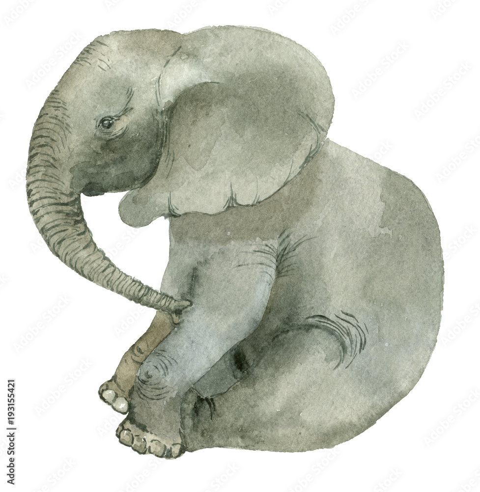 Obraz premium Sitting funny elephant