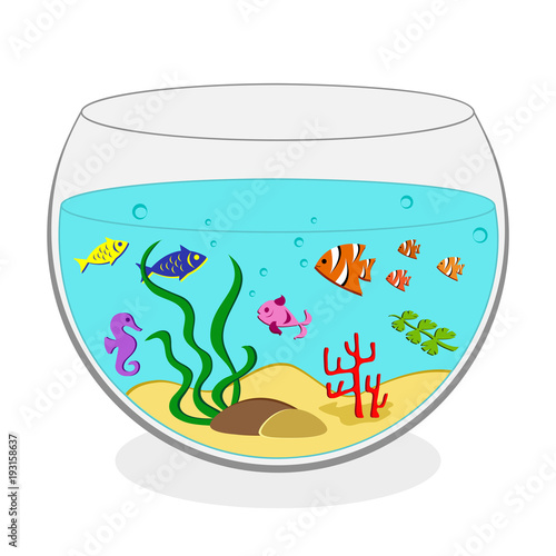 Round aquarium with seaweeds and colorful fish. Vector illustration