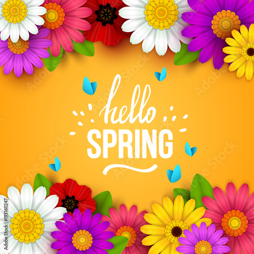 Colorful spring background with beautiful flowers. Vector illustration