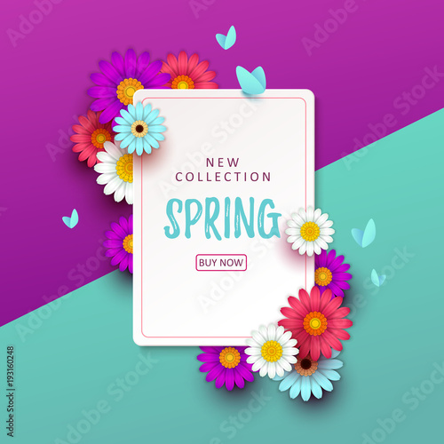 Colorful spring background with beautiful flowers. Vector illustration