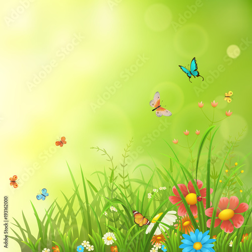 Spring or summer background with green grass, flowers and butterflies