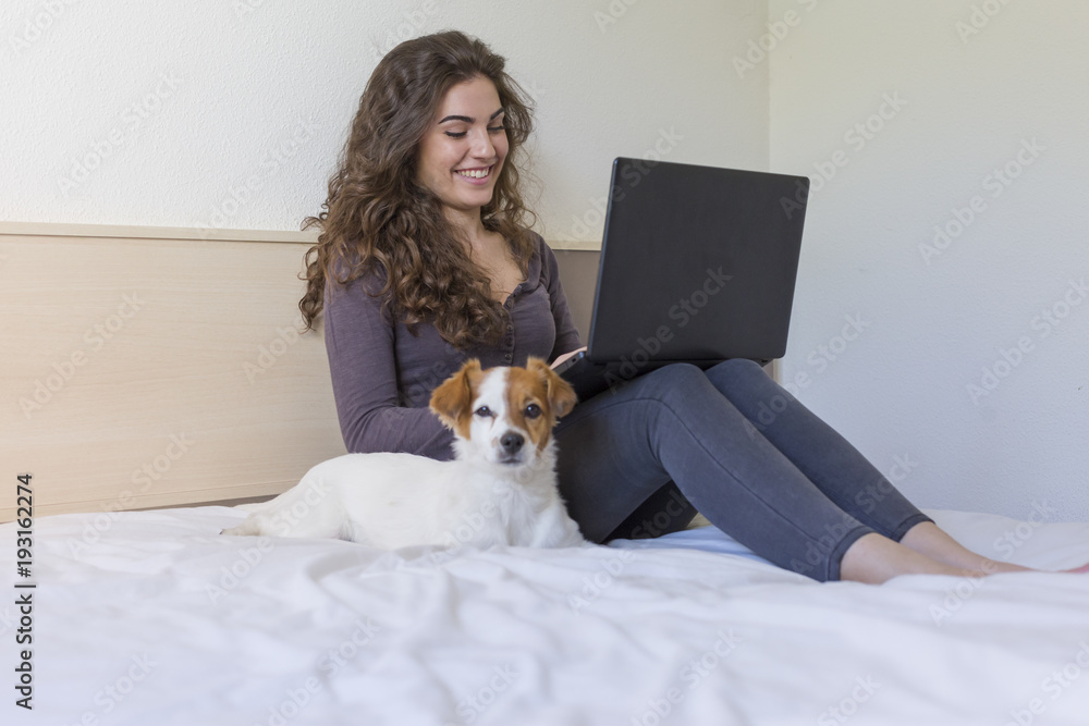 beautiful young woman sitting on bed with her cute small dog besides. She is working on laptop and smiling. Home, indoors and lifestyle beautiful young woman sitting on bed with her cute small dog besides. She is working on laptop and smiling. Home, indoors and lifestyle