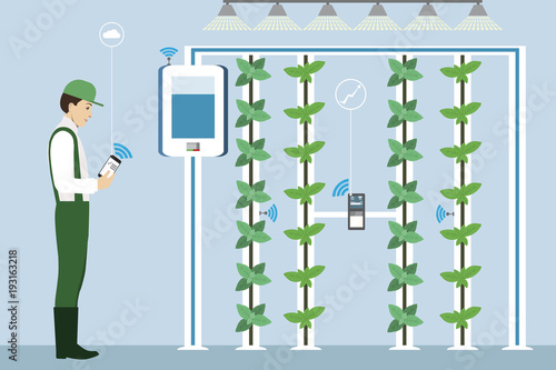 Vertical greenhouse gardens. Growing micro greens.  Smart farm with wireless control. Vector illustration.