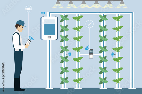 Vertical greenhouse gardens. Growing micro greens.  Smart farm with wireless control. Vector illustration.