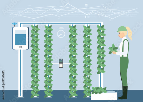 Vertical greenhouse gardens. Growing micro greens.  Smart farm with wireless control. Vector illustration.