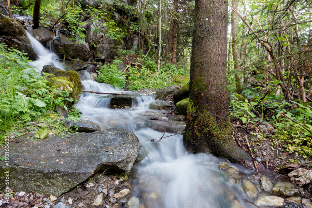 Wildbach durch einen Wald Wildbach durch einen Wald