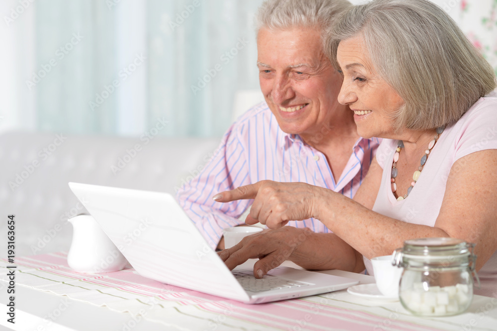 happy beautiful senior couple using laptop happy beautiful senior couple using laptop