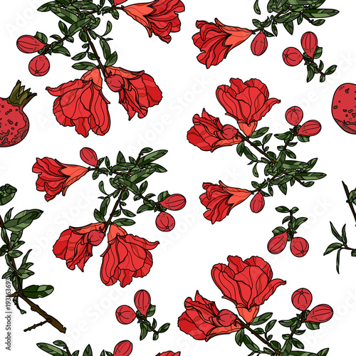 Seamless pattern with pomegranate flowers