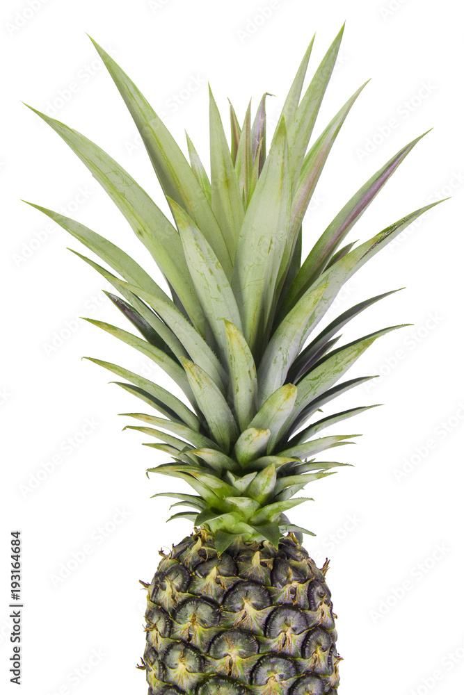 Ripe Pineapple isolated on white background, Cutting path Ripe Pineapple isolated on white background, Cutting path
