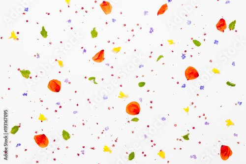 Pattern from little violet, yellow and red flowers with green leaves on white background