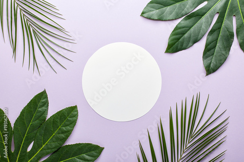 Green tropical leaves with paper card note on violet background. Flat lay  top view  copy space.