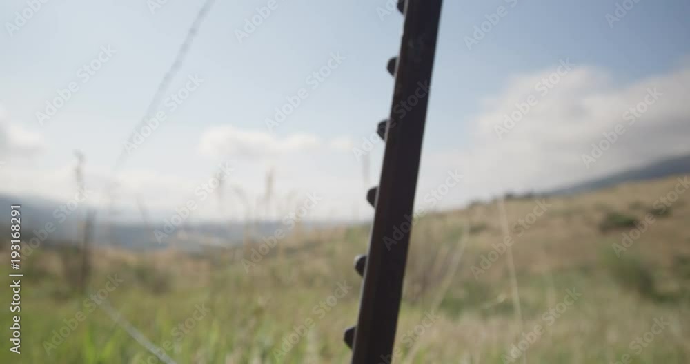 Barbed wire fence in field, close up