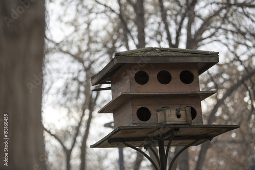 Bird House_01