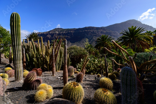Cactualdea Park, Gran Canaria photo