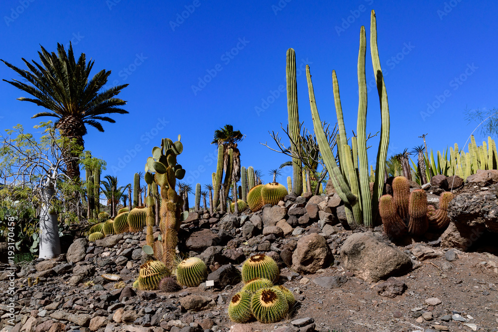 Cactualdea Park, Gran Canaria