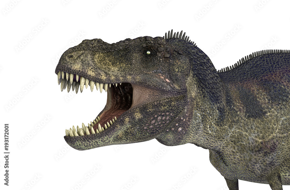 Obraz premium 3D Illustration of a Dinosaur Tyrannosaurus Rex on white background