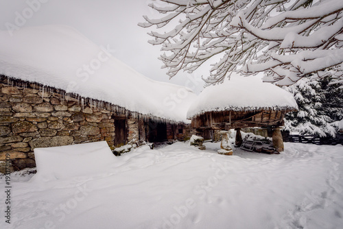 Wallpaper Mural Invierno en la Sierra de Los Ancares, Lugo, después de una gran nevada Torontodigital.ca