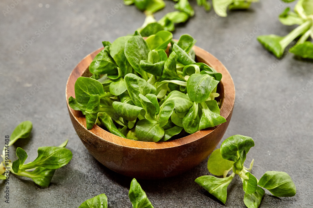Fresh leaf Lettuce corn on background. Close Up view. Fresh leaf Lettuce corn on background. Close Up view.