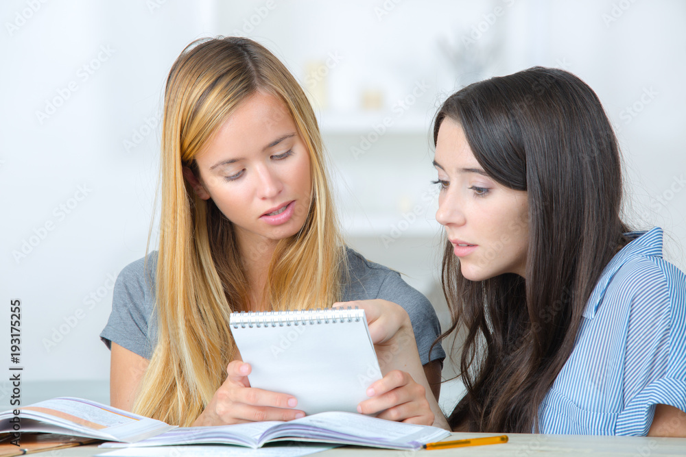 two female teenagers doing their assignments two female teenagers doing their assignments