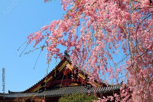 Ueno Park, Tokyo