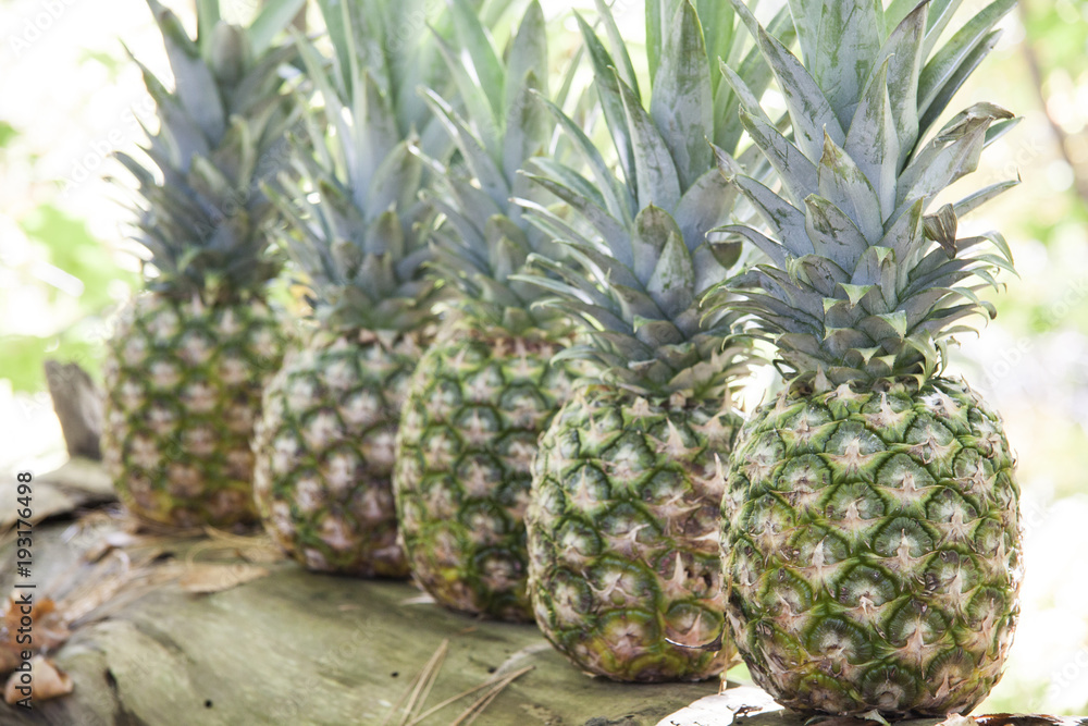 Pineapples
