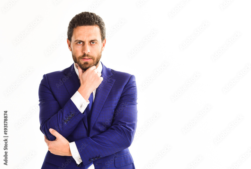 Man in suit or businessman with beard on white background. Man in suit or businessman with beard on white background.