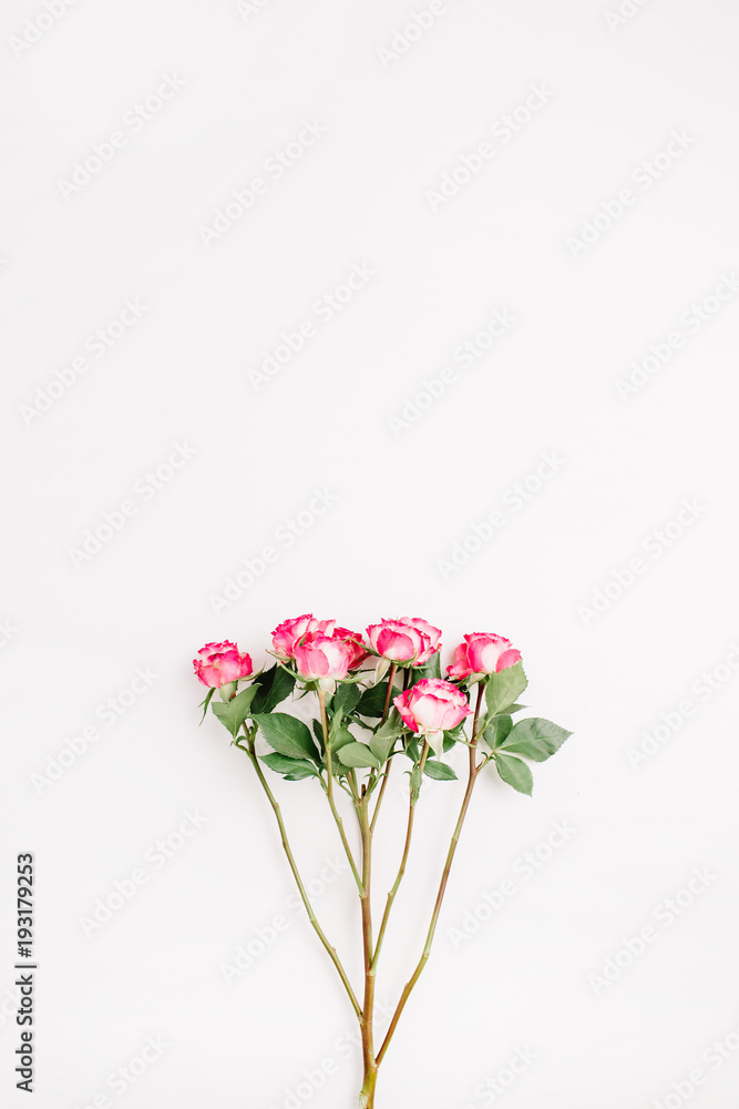 Pink rose flowers branch on white background. Flat lay, top view. Minimal spring flowers composition.