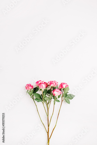 Pink rose flowers branch on white background. Flat lay  top view. Minimal spring flowers composition.