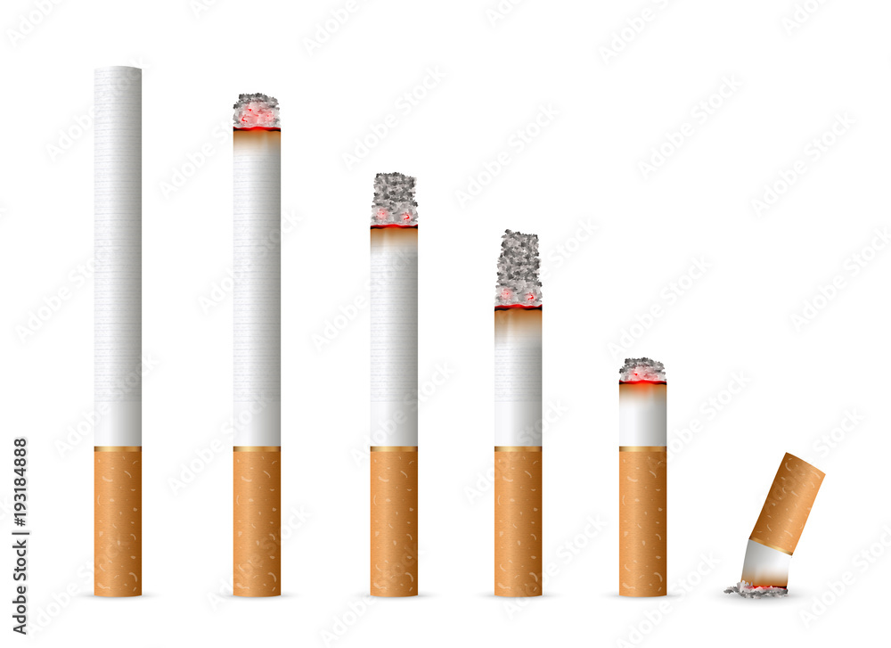 Creative vector illustration of realistic cigarette set isolated on transparent  background. Art design different stages of burn. Abstract concept graphic  element Stock Vector | Adobe Stock