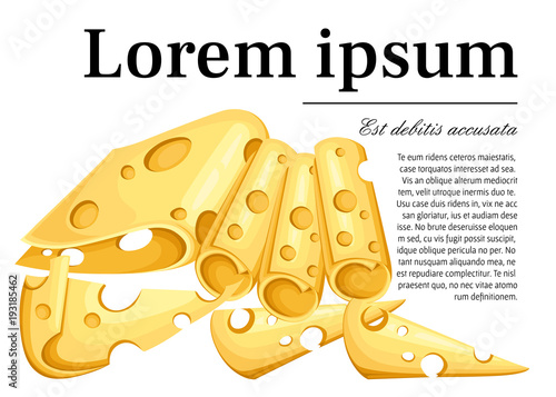 Set cutting firm grade of cheese popular kind vector illustration isolated on white background web site page and mobile app design with place for your text