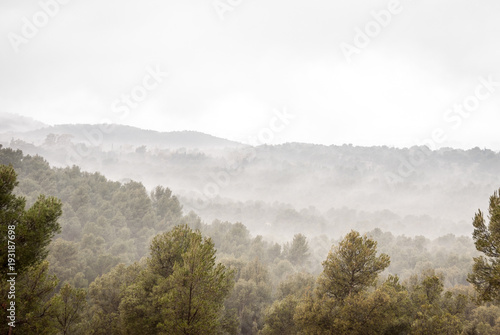 Fog that envelops the landscape on a cold and gray day © Marlene Vicente