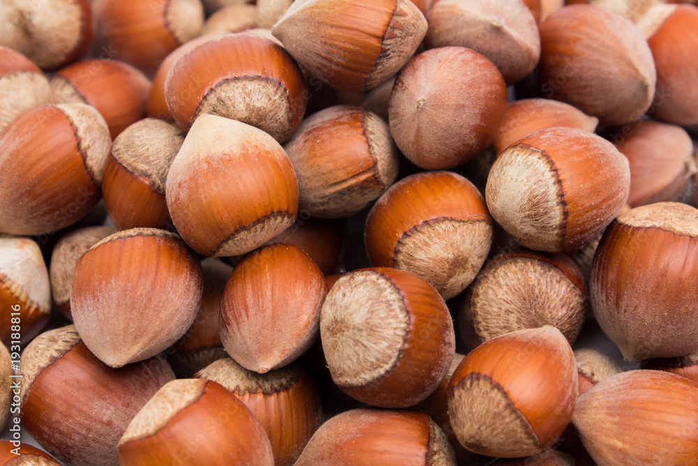 Hazelnuts. Food background, photo wallpaper. Hazelnuts. Food background, photo wallpaper.