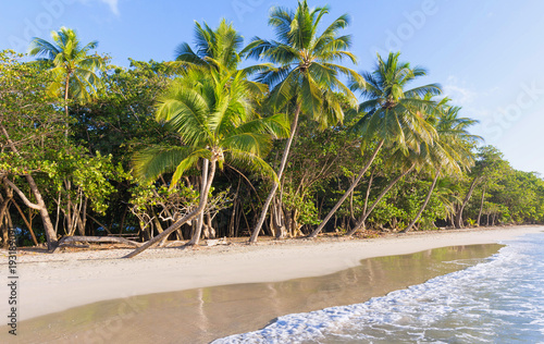 The Caribbean beach   Martinique island.