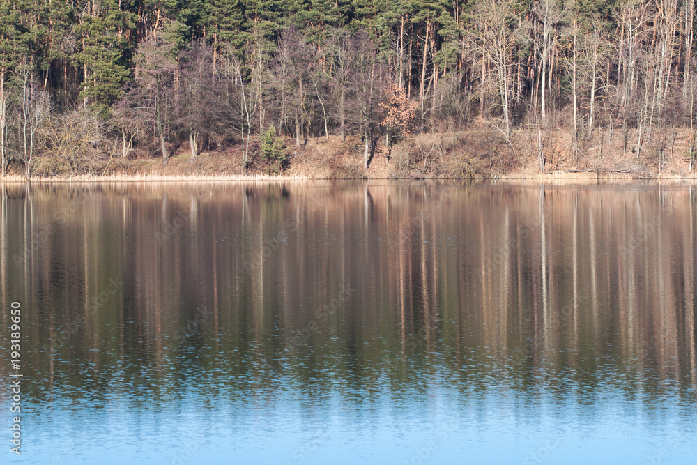 Obraz premium River landscape with reflections of trees in water
