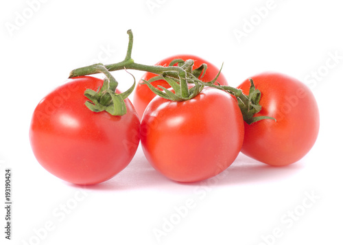 Wallpaper Mural Branch with tomatoes Torontodigital.ca