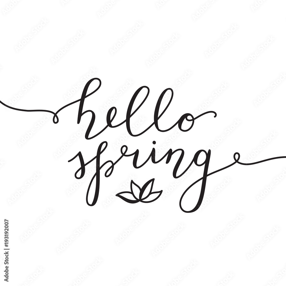 hello spring, vector lettering with flower on white background hello spring, vector lettering with flower on white background