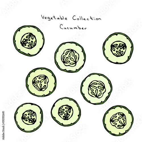 Round Cucumber Slices with Seeds. Vector Illustration. Fresh Green Vegetable. Healthy Vegetarian Cuisine. Savoyar Doodle Style.
