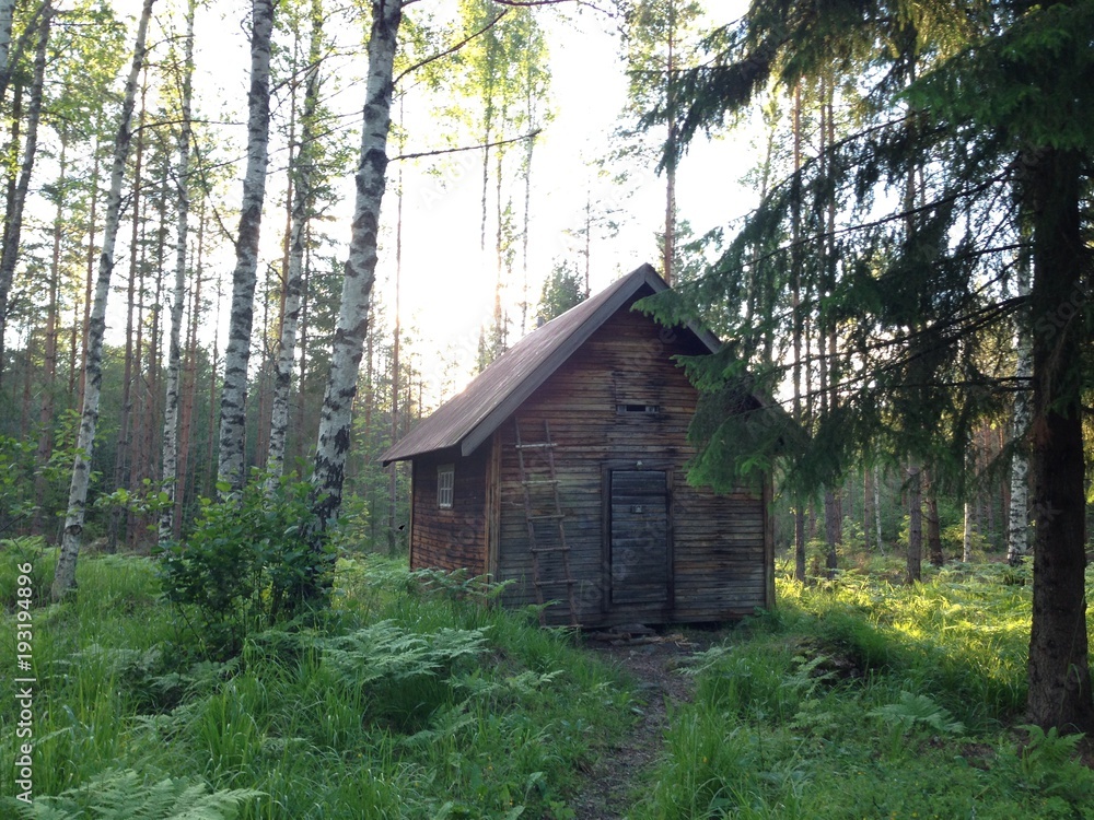Cabin in Swedish forrest Cabin in Swedish forrest