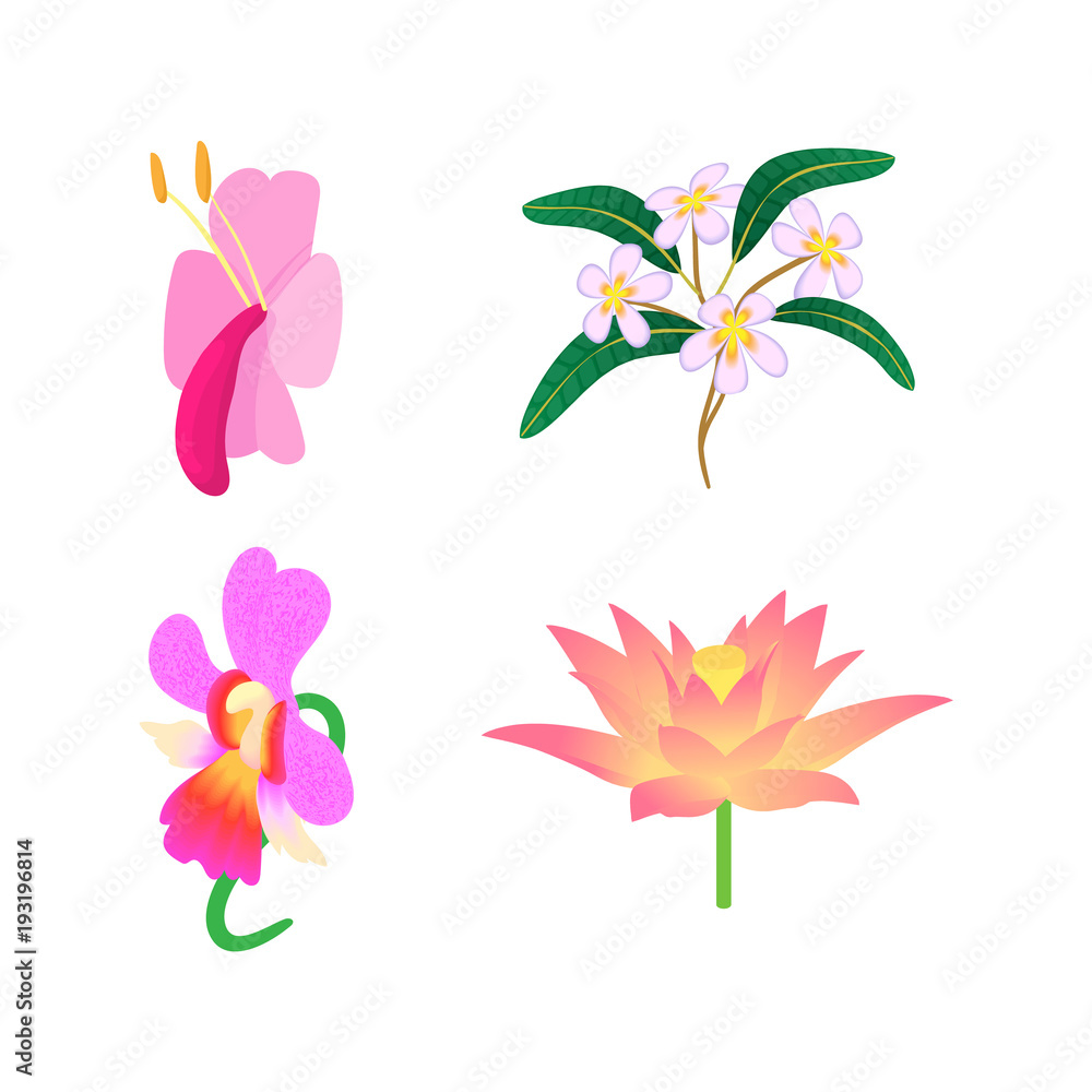 Fototapeta premium Exotic flower icon set, cartoon style