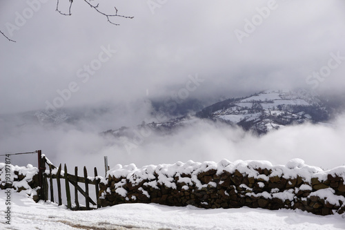 Winter landscape in the mountains with foggy and  grey sky.