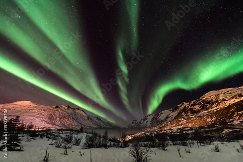 Aurora Borealis (northern lights) in North Norway - Tromso, Kvaloya, Ersfjordbotn