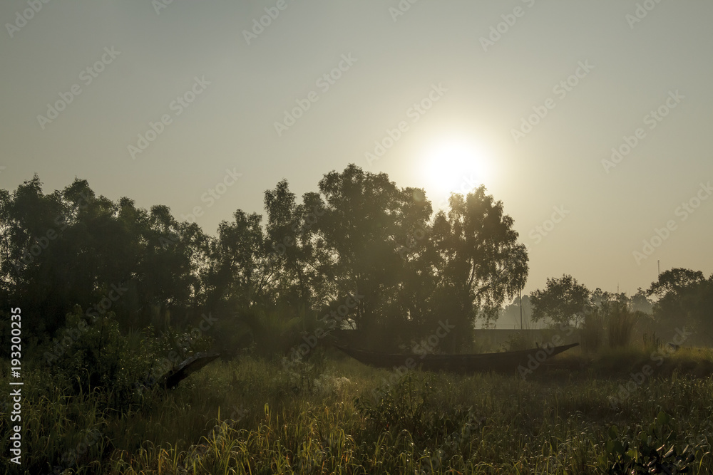 Fototapeta premium The Sundarbans is a vast forest in the coastal region of the Bay of Bengal and considered one of the natural wonders of the world. 
