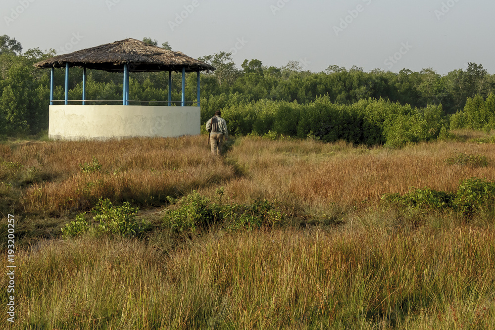 The Sundarbans is a vast forest in the coastal region of the Bay of Bengal and considered one of the natural wonders of the world.